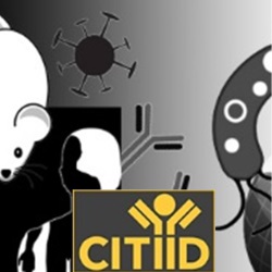 CITIID 250x250