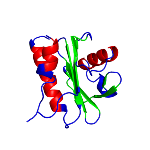  Computational model of Celery profilin allergen protein. 