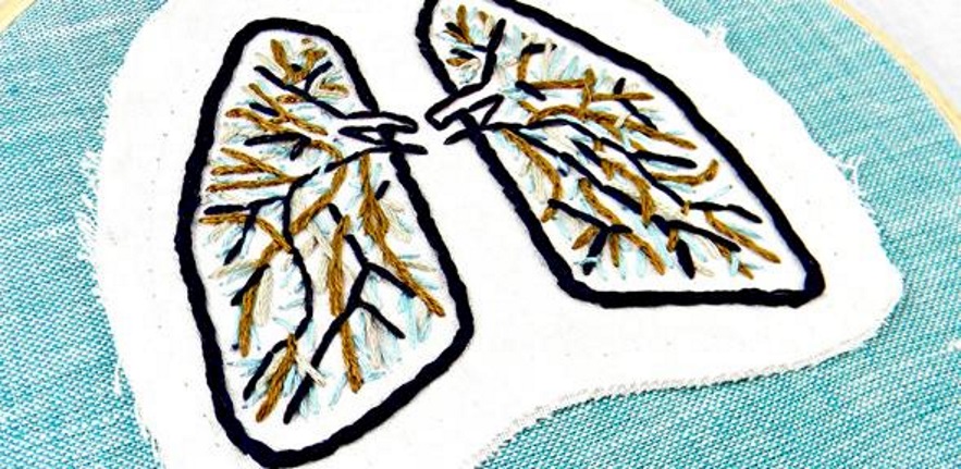 lungs