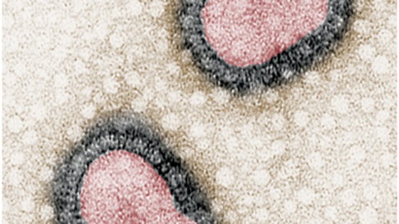 pandemic 560x315