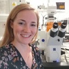 Dr Sina Krokowski