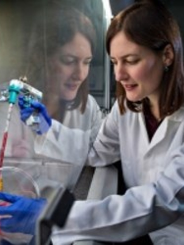 Dr Catherine Merrick