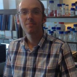 Dr Graham   Christie